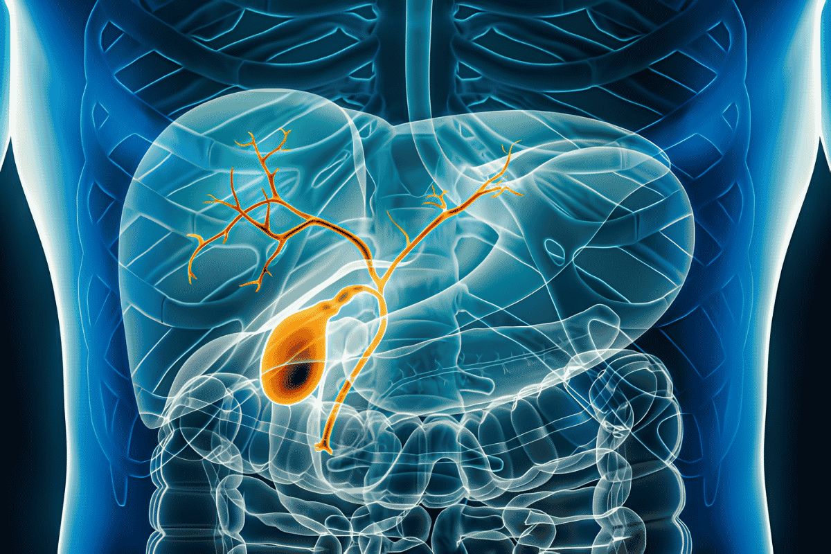 Gall Bladder and Biliary Tract Surgery